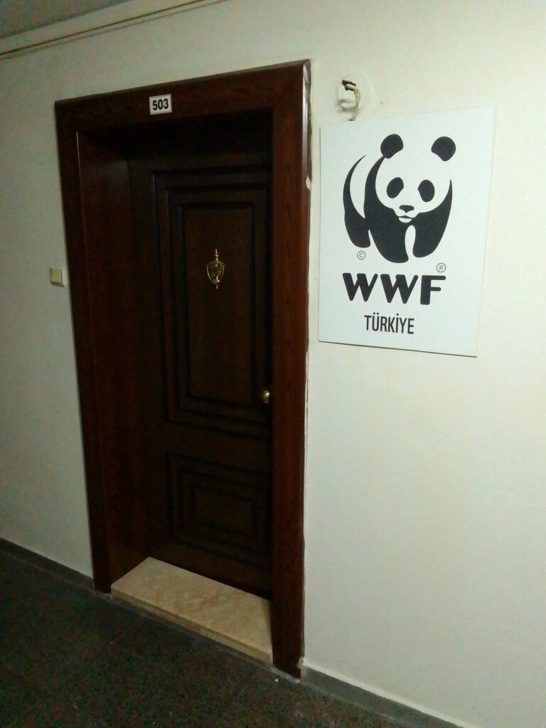 Community organization Wwf, Izmir, photo