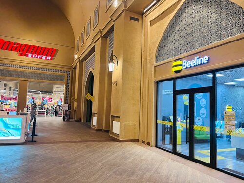 Шешен әйелімен жыныстық қатынас ұялы телефонға түсірілген