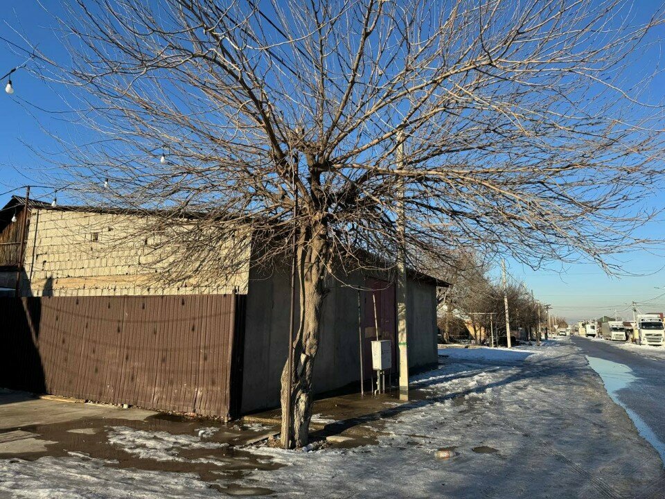 Electric and gas powered tools Power tools store, Chimkent, photo