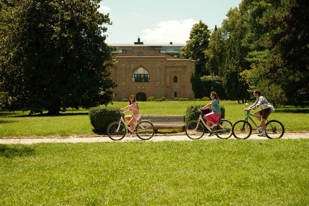 Фото Tsinandali Estate, A Radisson Collection Hotel