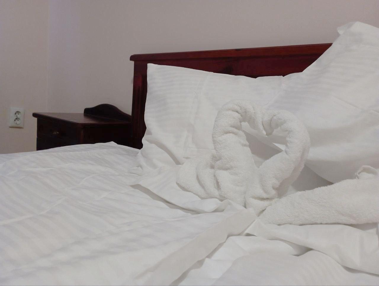 Фото Лектус