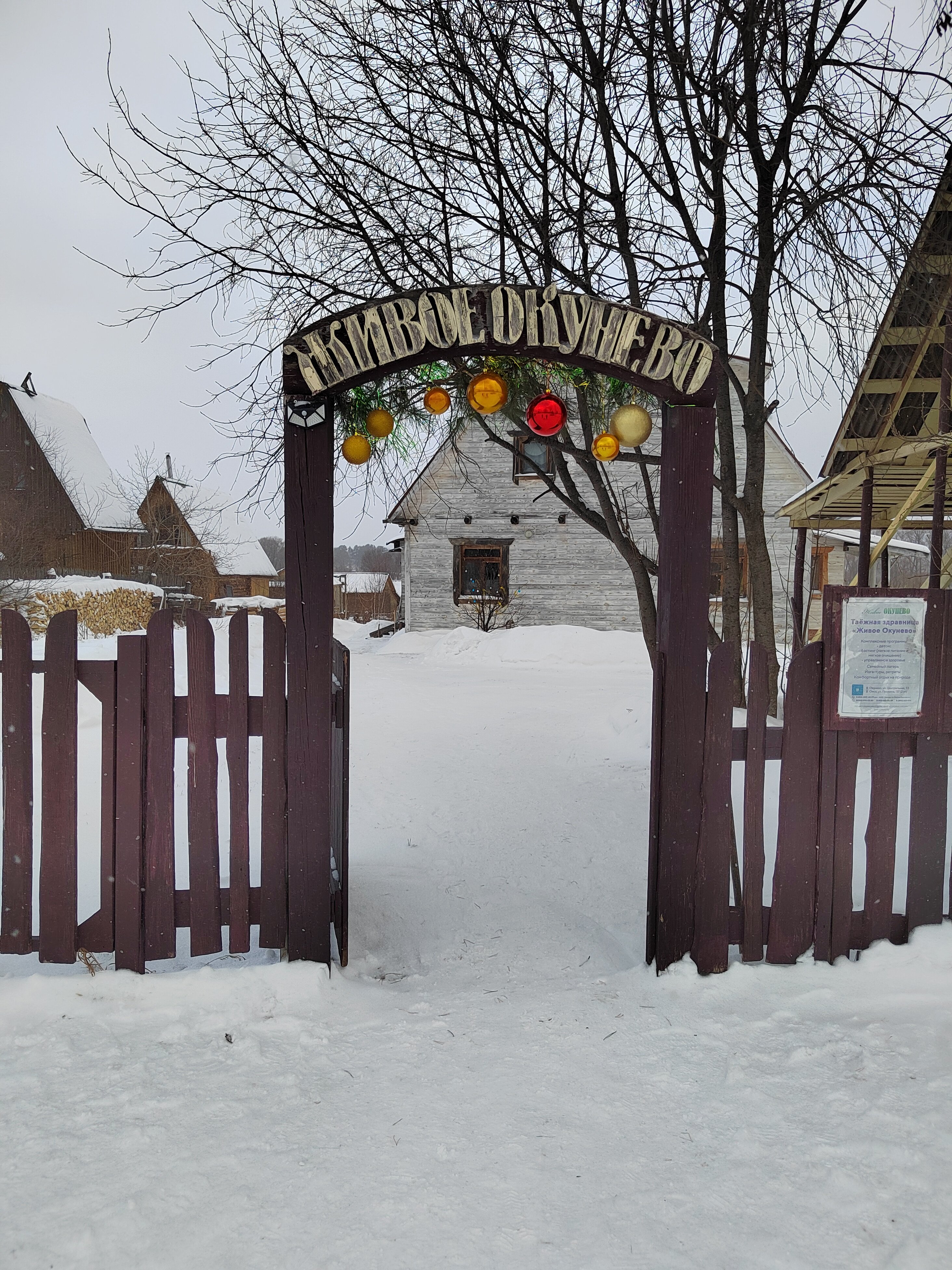 Фото Живое Окунево