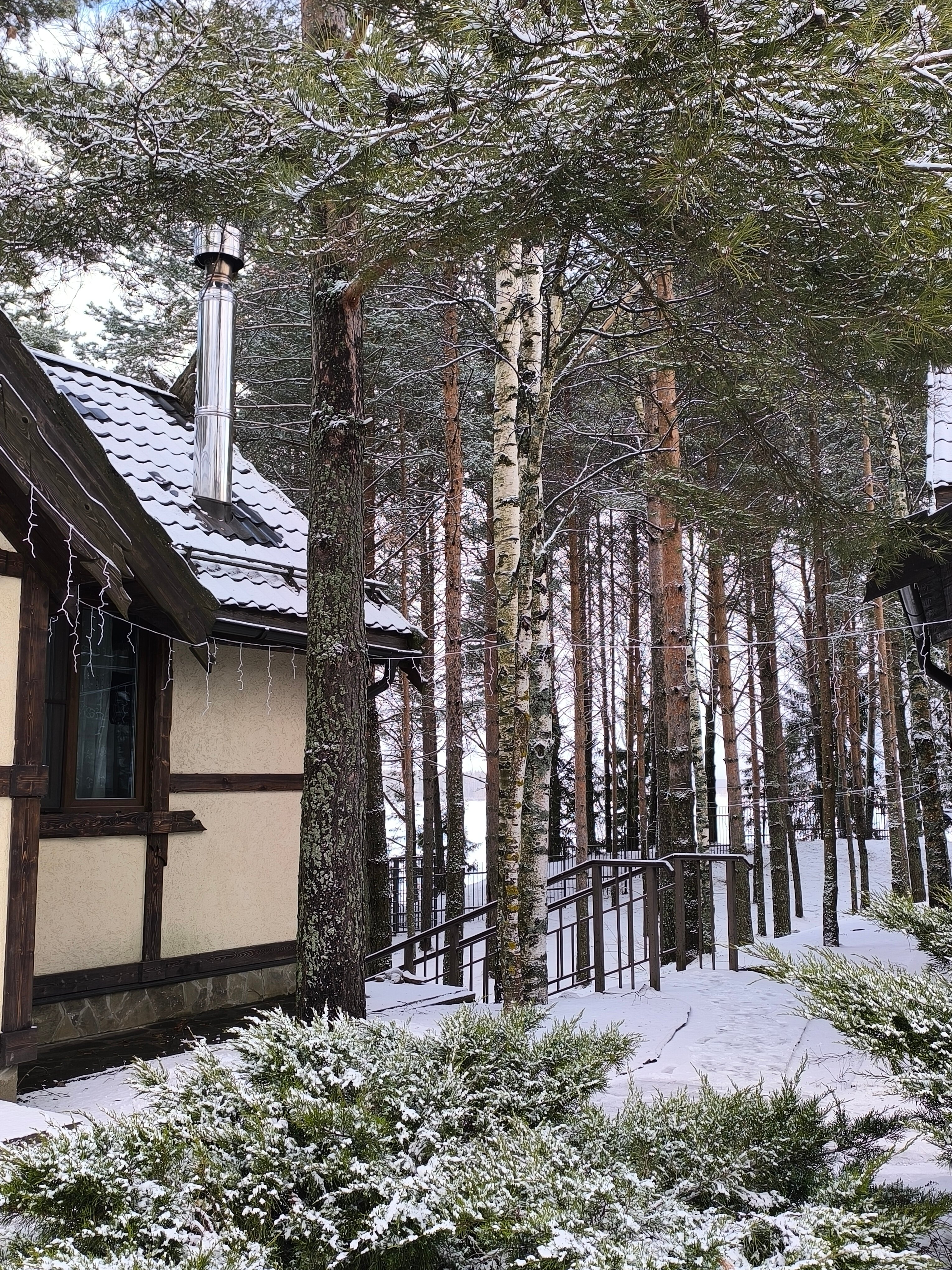 Фото Отдых Волго