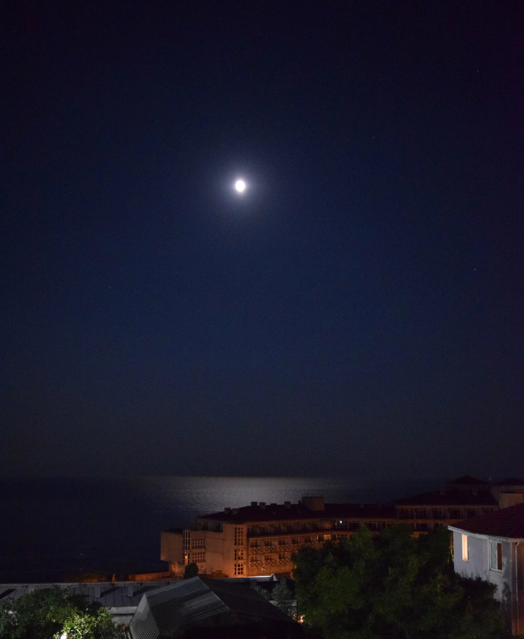 Фото Вероника