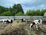 Lll Ptk Sky Agroline (Moskovskiy Avenue, 130) ، علف وإضافات غذائية