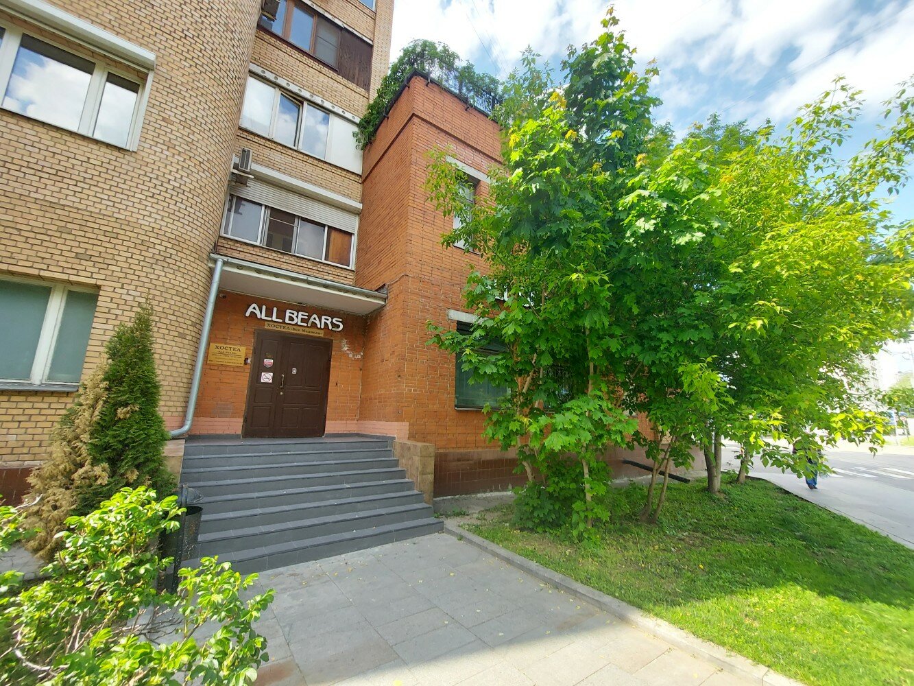 Фото Все медведи