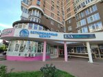 Eva (Festivalny mikrorayon, mikrorayon Solnechny, Kazbekskaya ulitsa, 18), clothing store