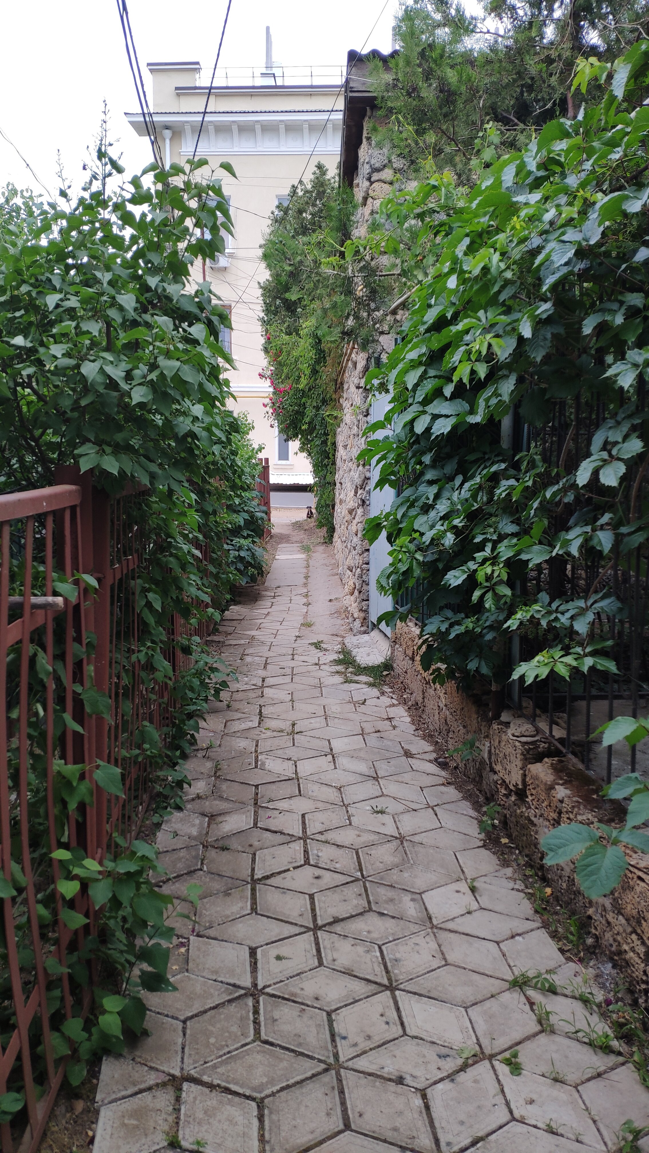 Фото Летний дом Сивэй