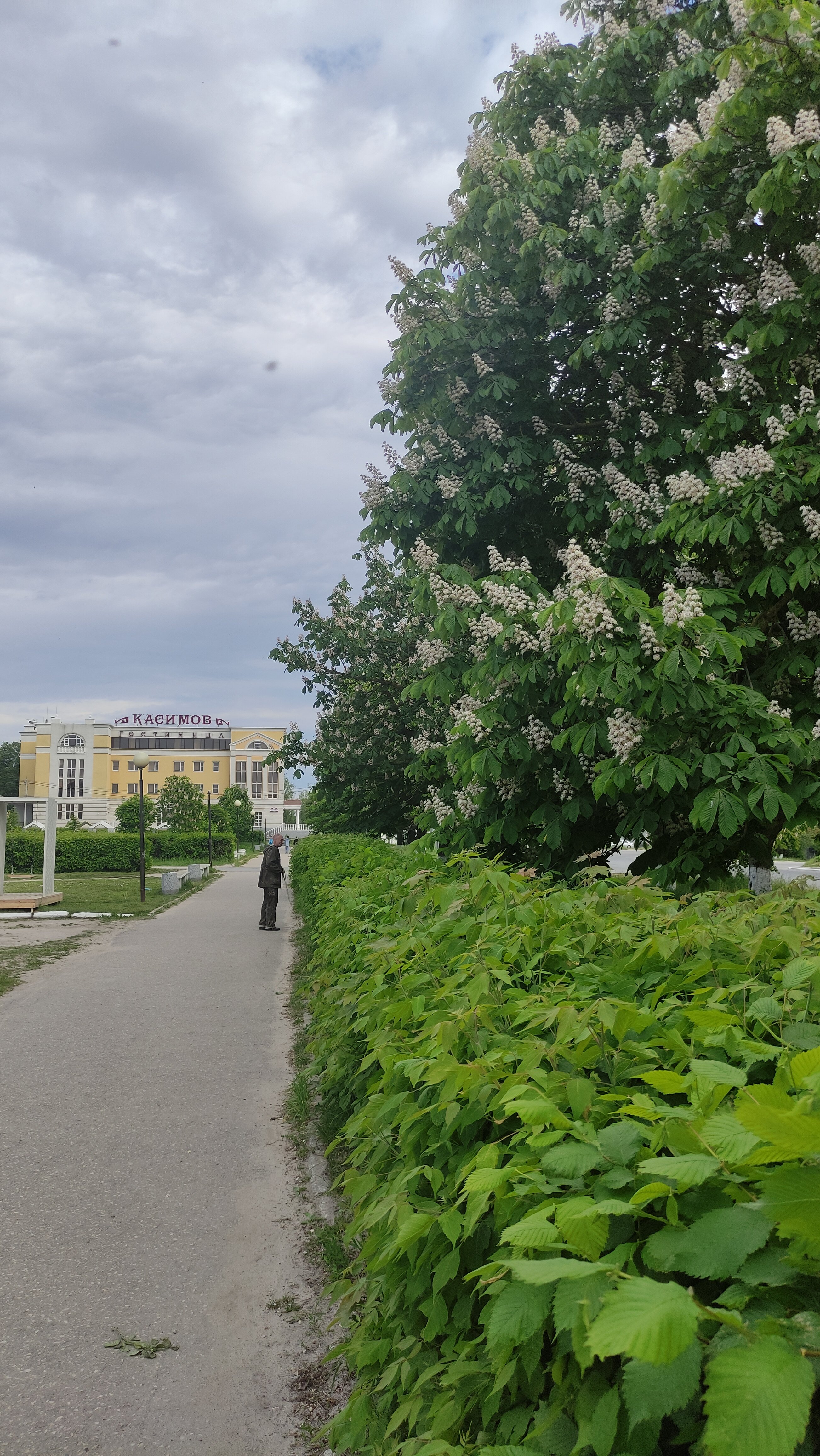 Фото Касимов