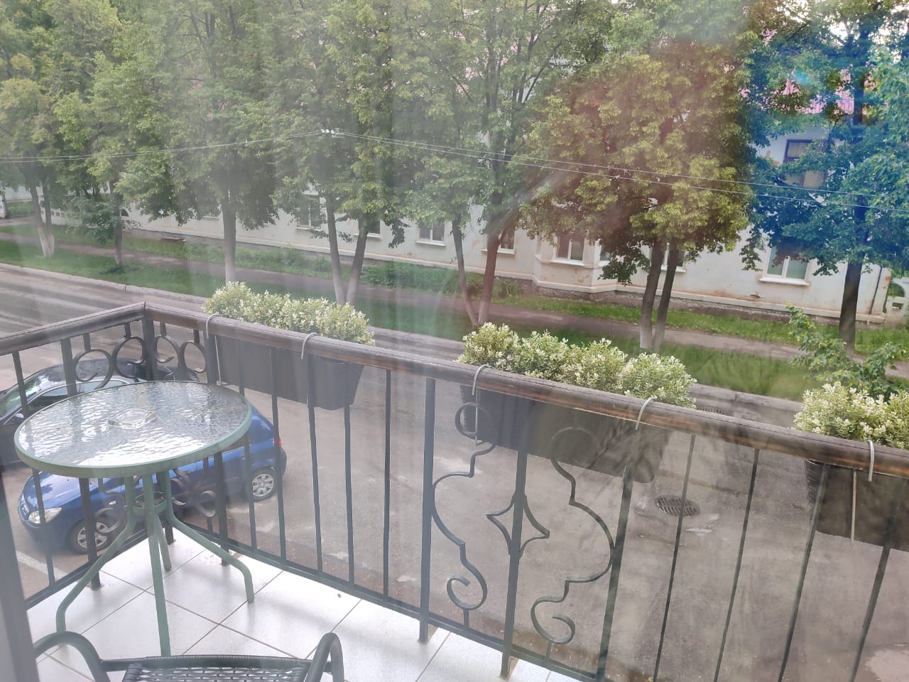 Фото Винсент