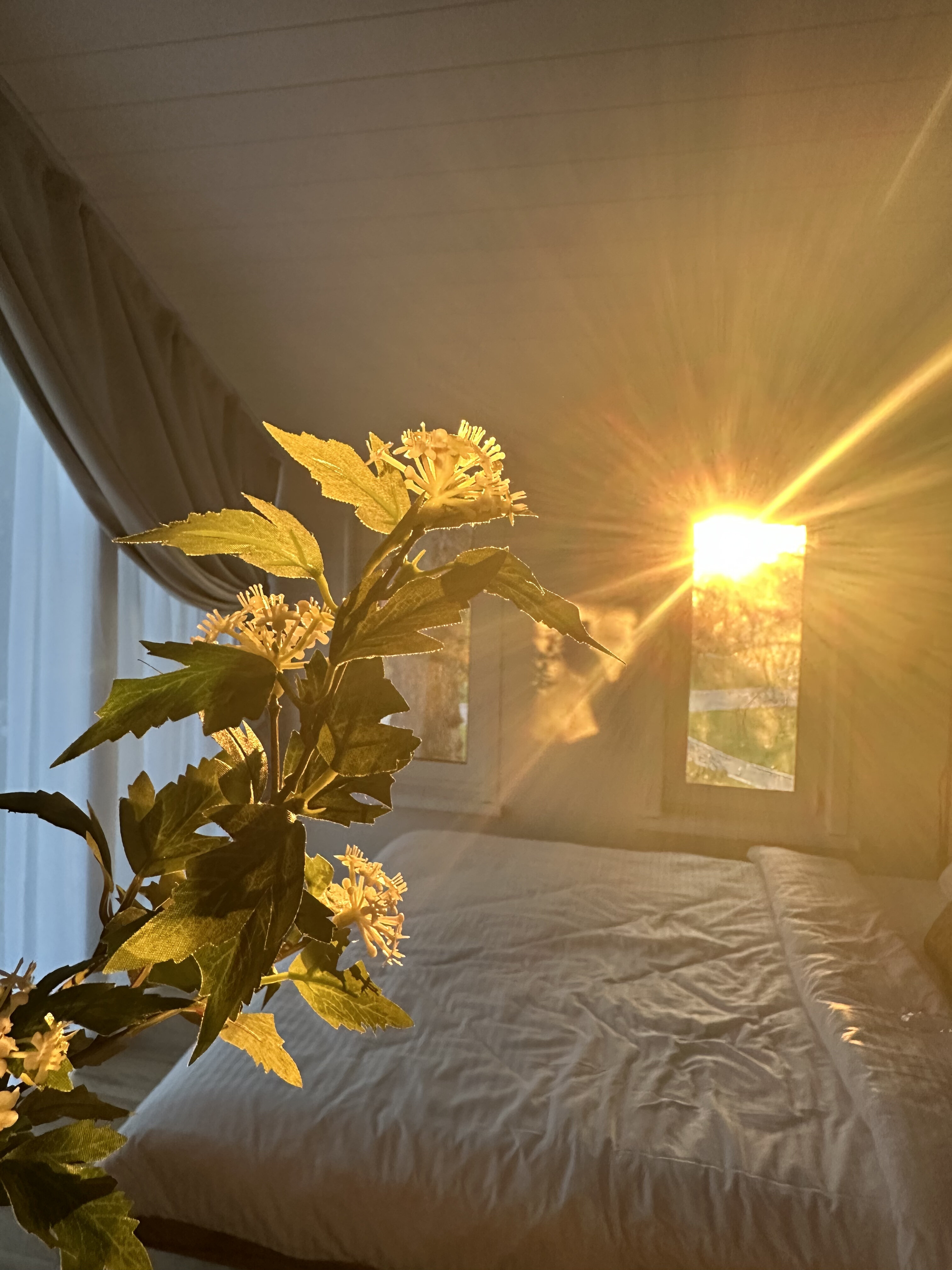 Фото Близкий круг