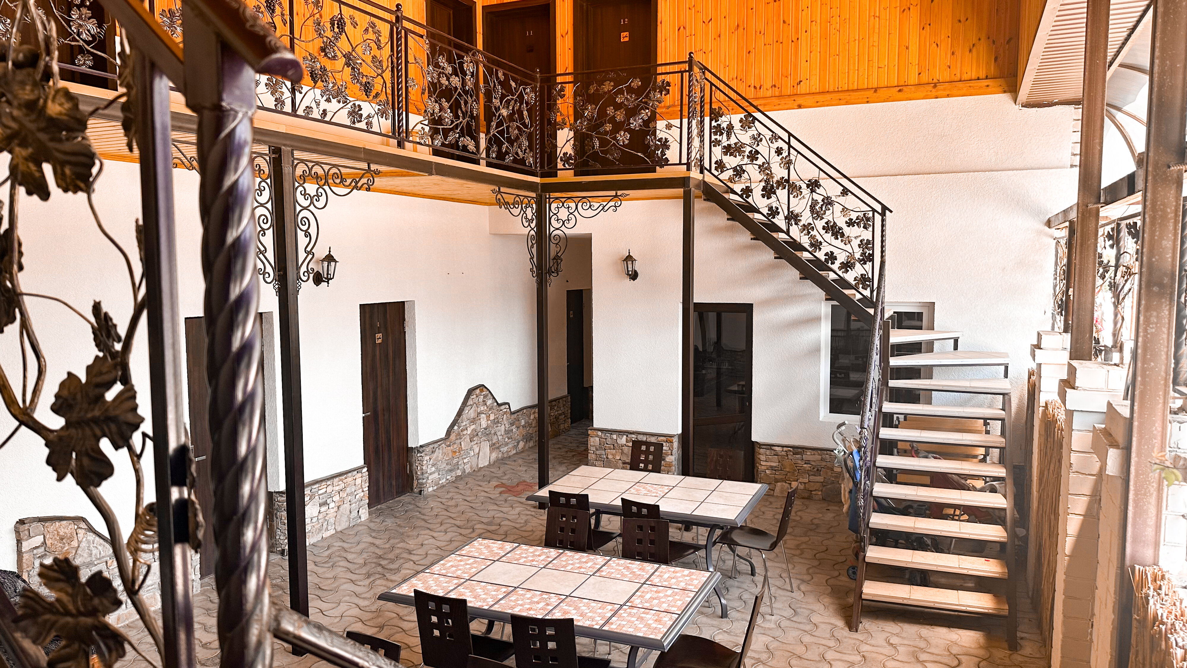 Фото Дельфиния