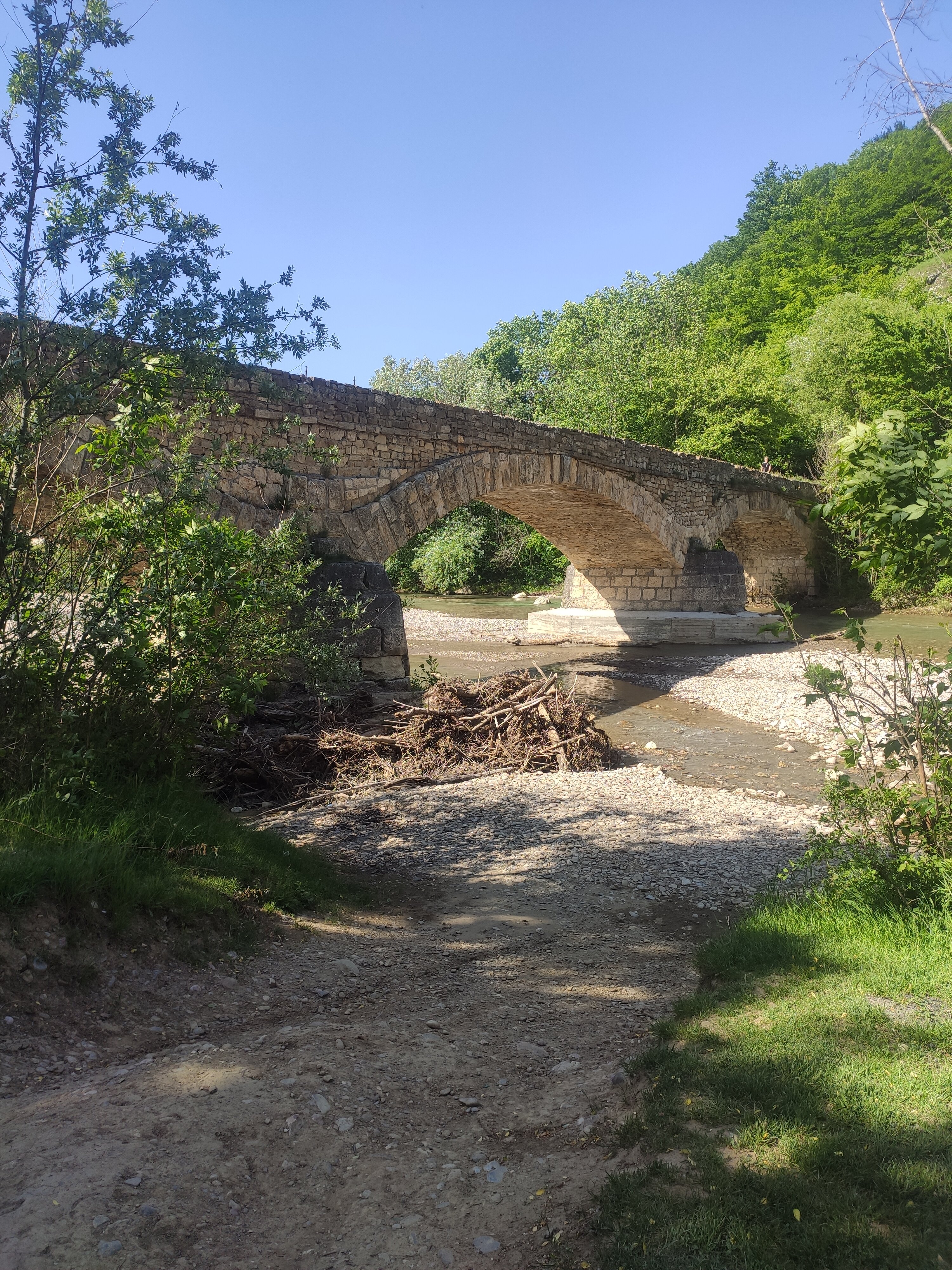Фото Аммонит