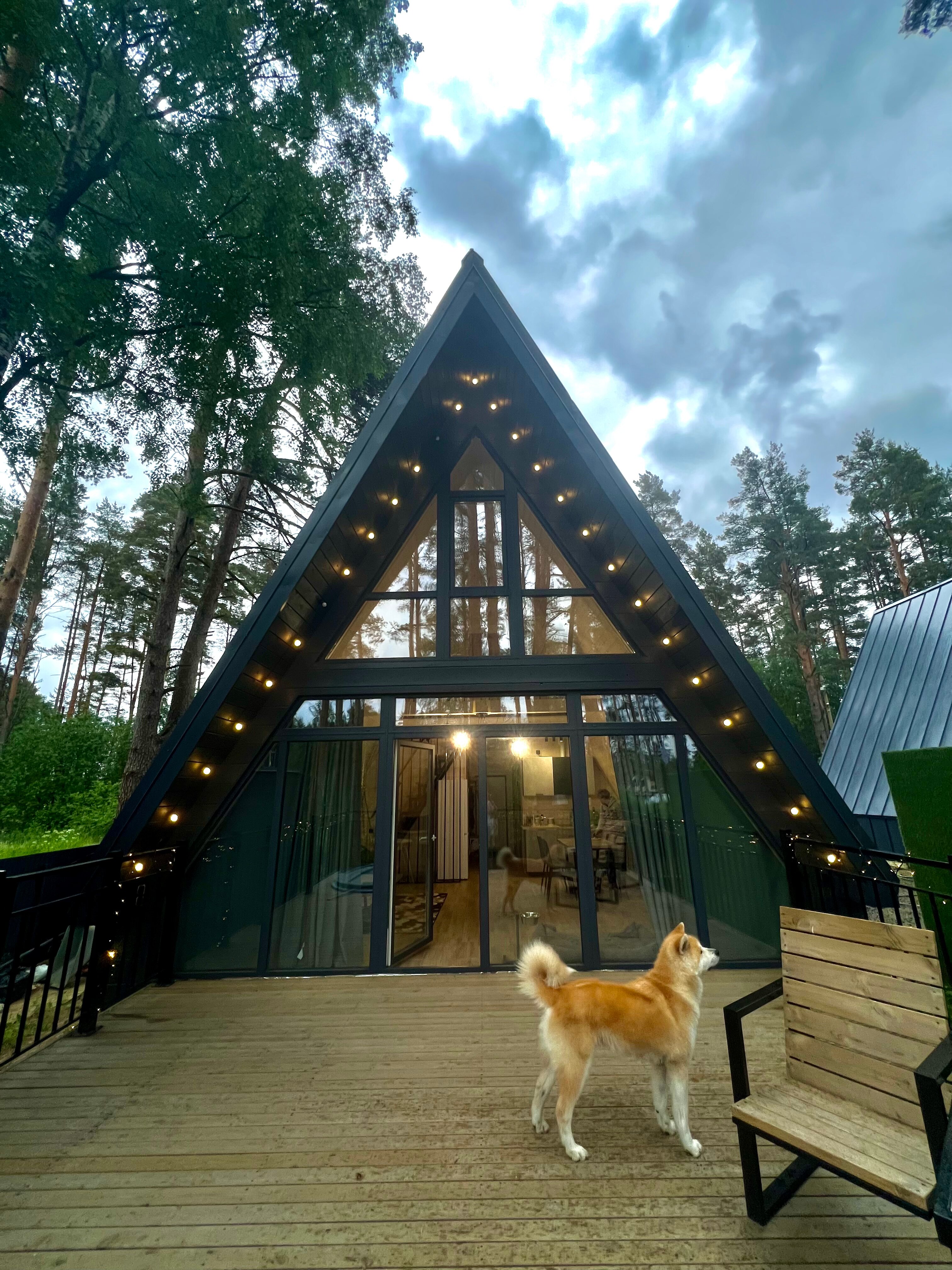 Фото Коттеджный комплекс Сосны