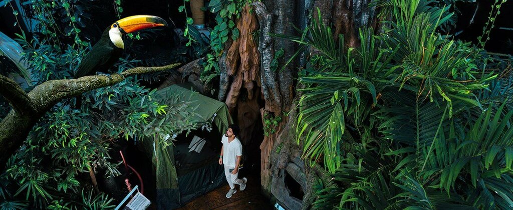 Camping area Camping in the Rainforest, Dubai, photo