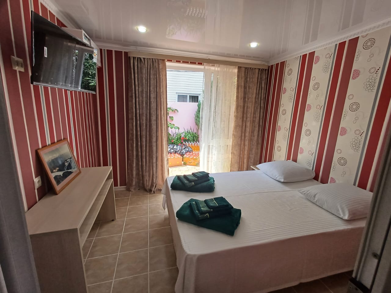 Фото Азалия