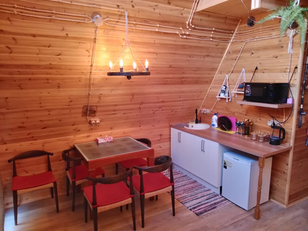 Фото Не тот лес