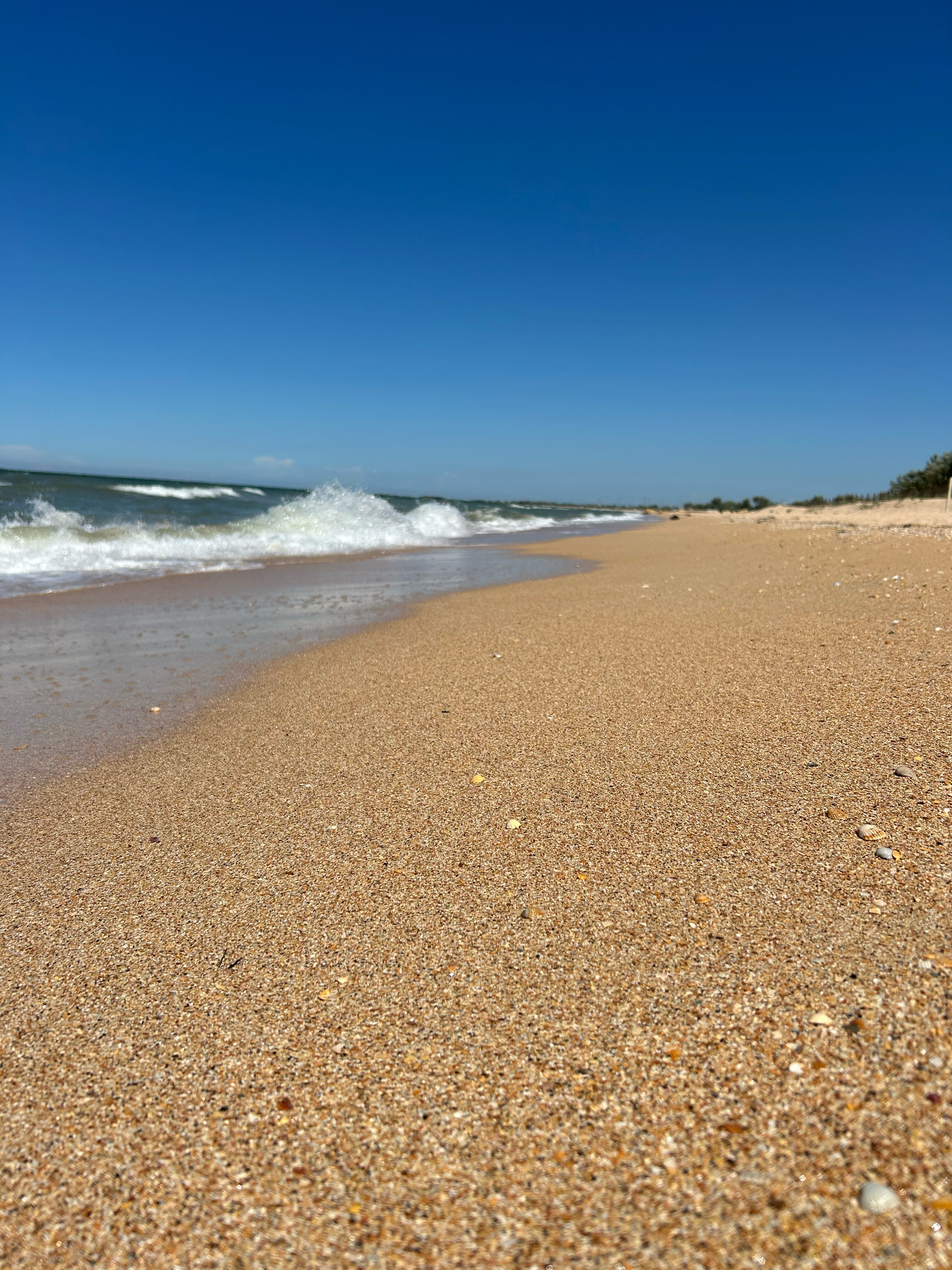 Фото У реки