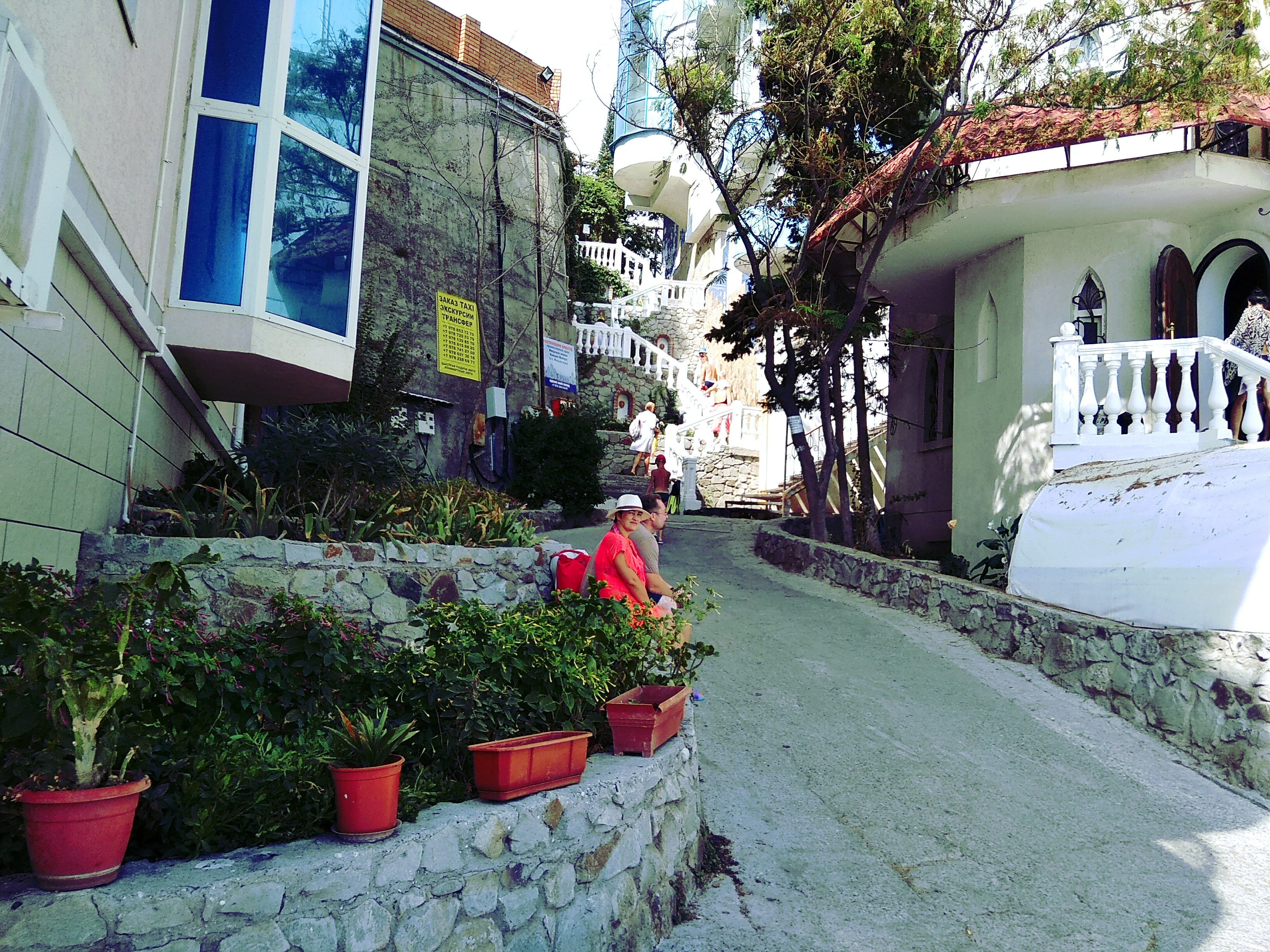 Фото Фортуна