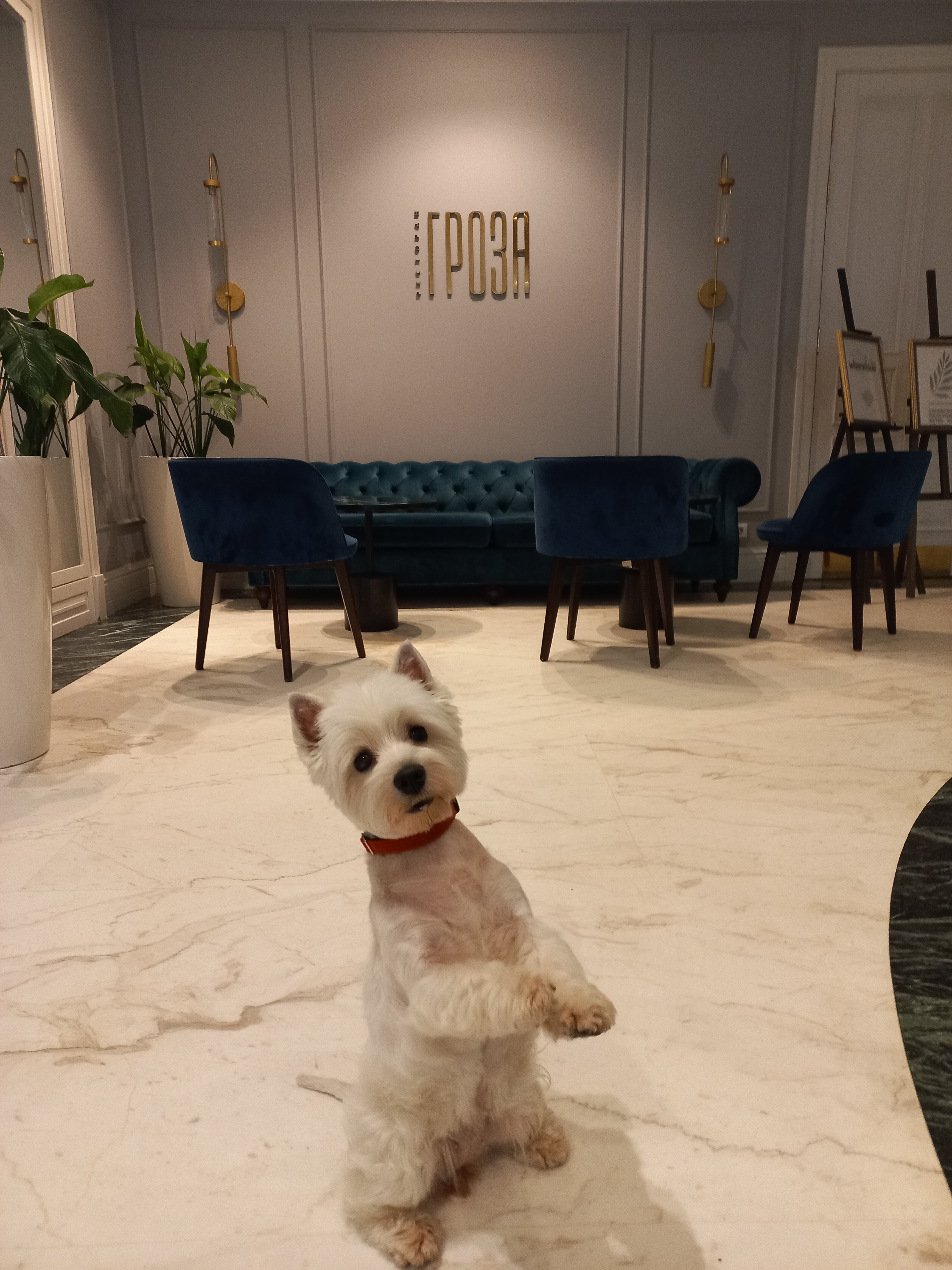 Фото Островский