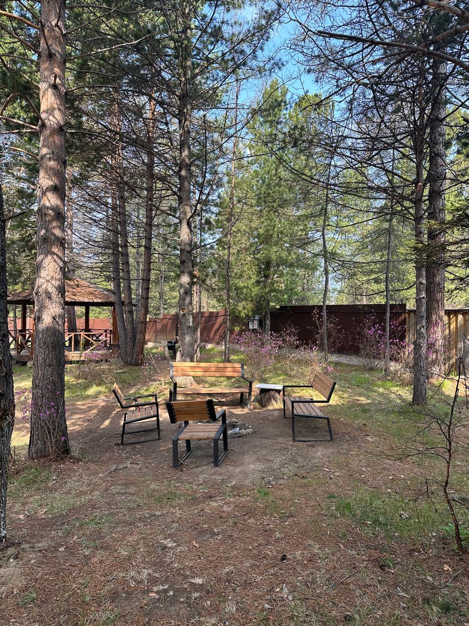 Фото Дом отдыха Байкал