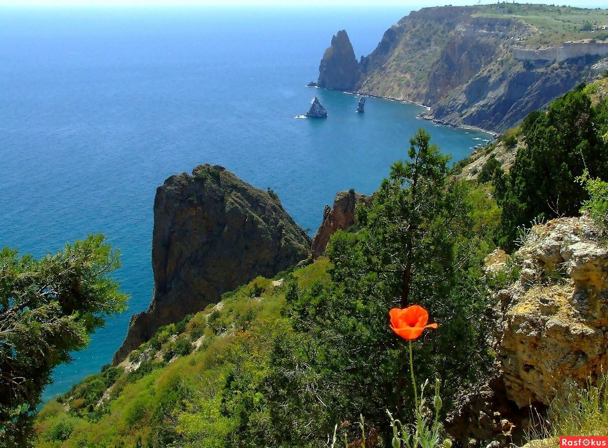 Фото Апартаменты Фиолент Виладж