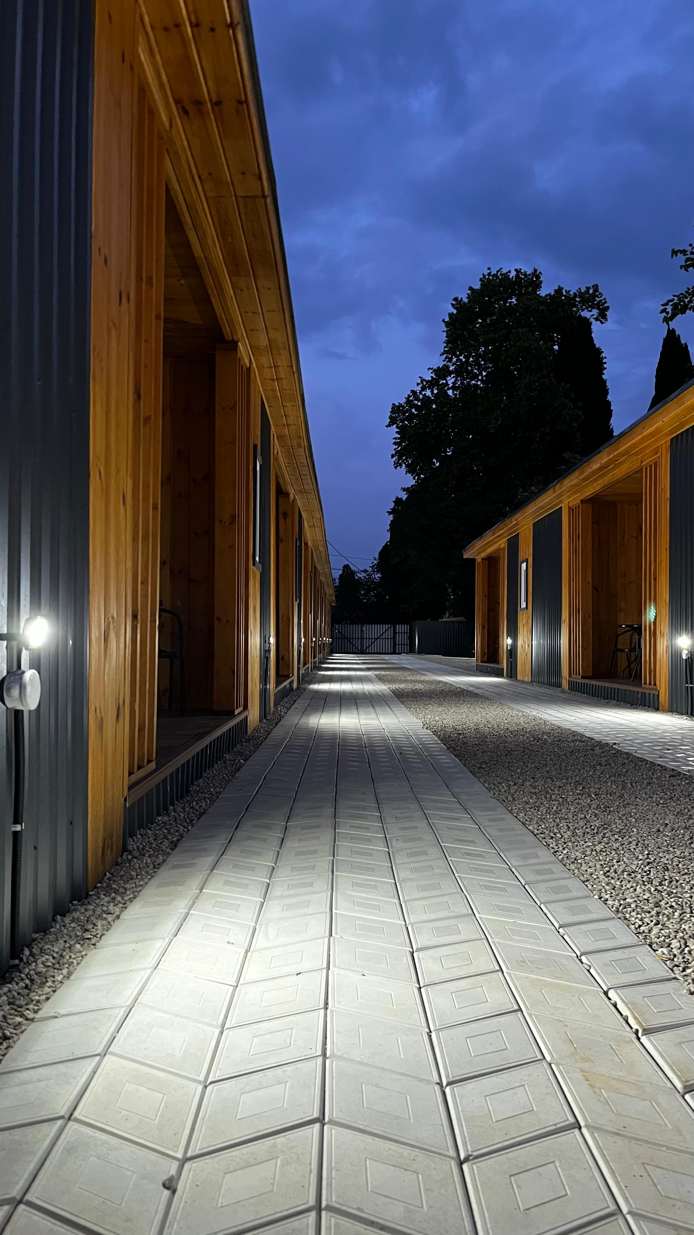 Фото Dионис