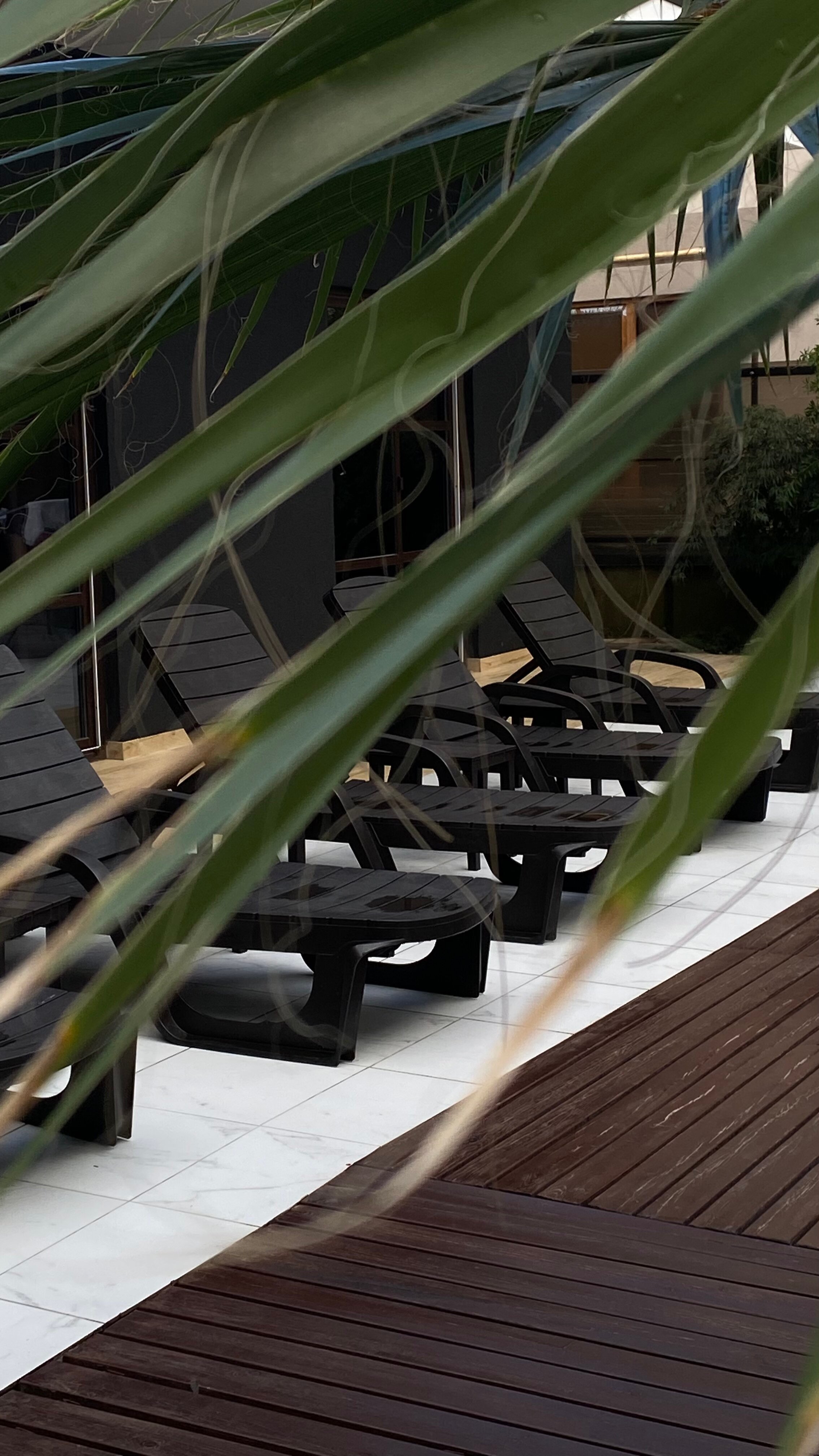 Фото SubTropical