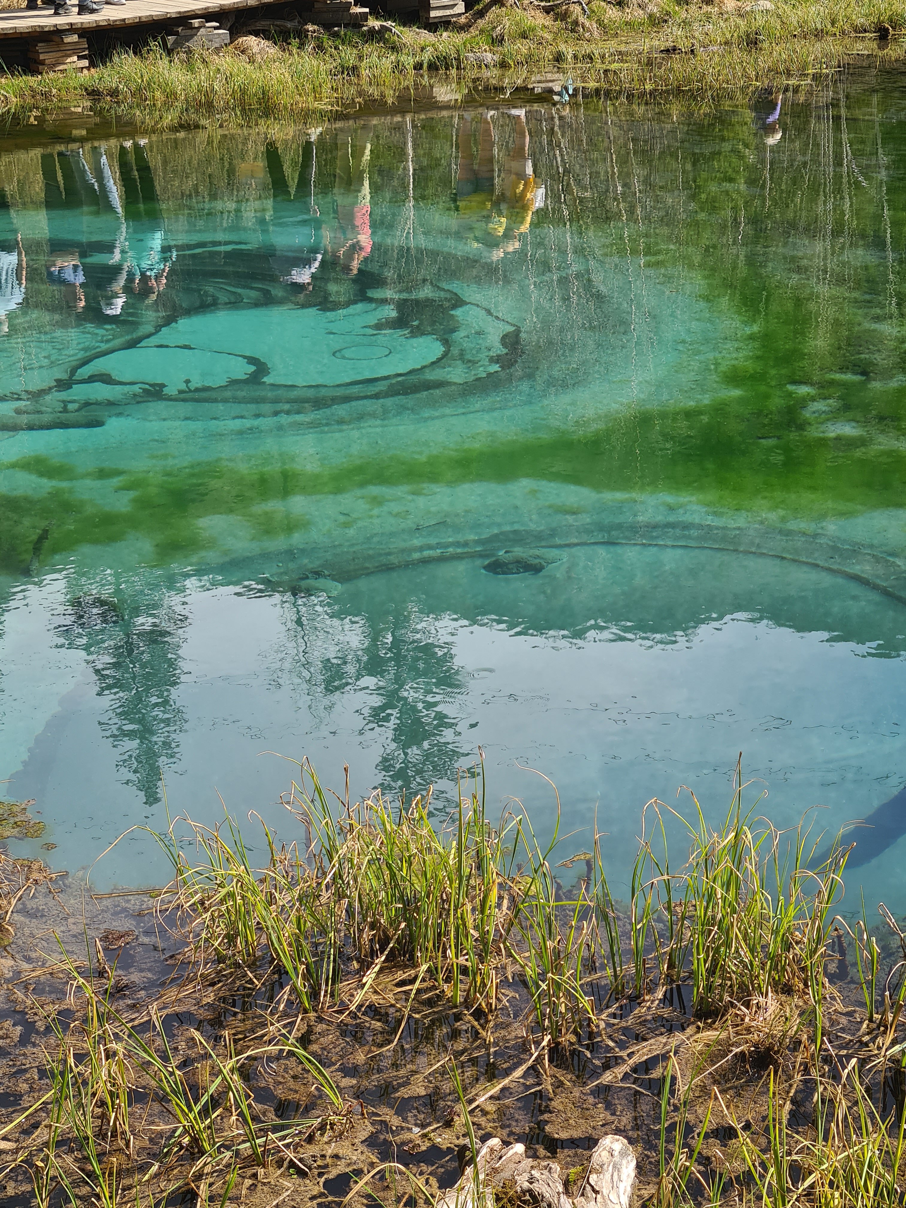 Фото Белый Шум