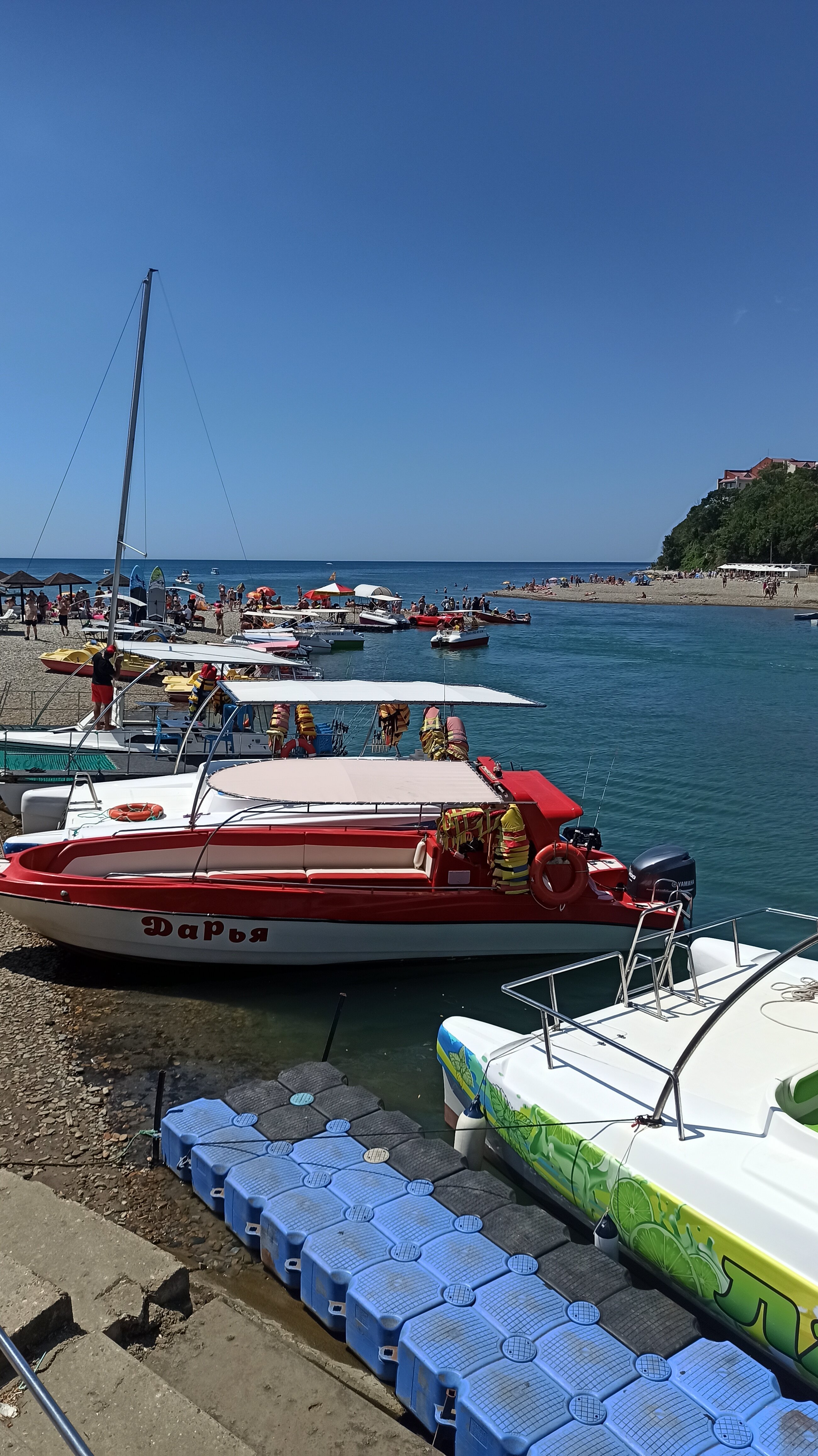 Фото Пчелка