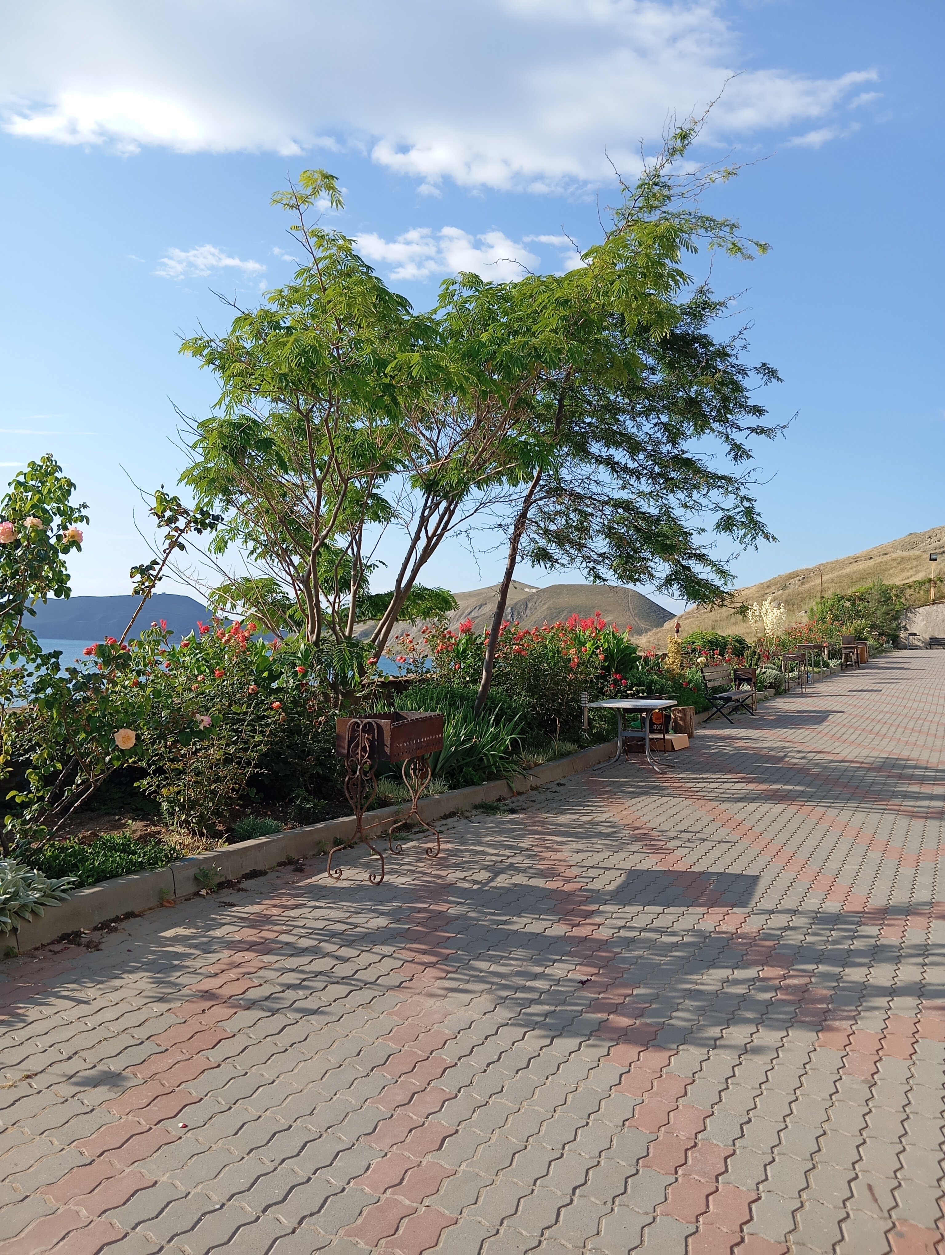 Фото Эллинг у Зои