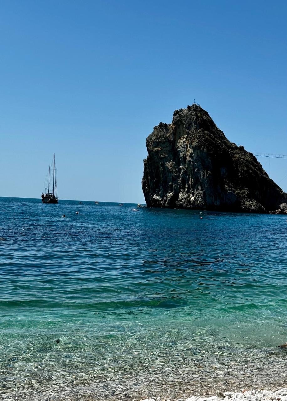 Фото Бархатный сад