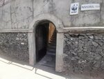 Wwf Armenia (Yerevan, Proshyan Street), organización medioambiental