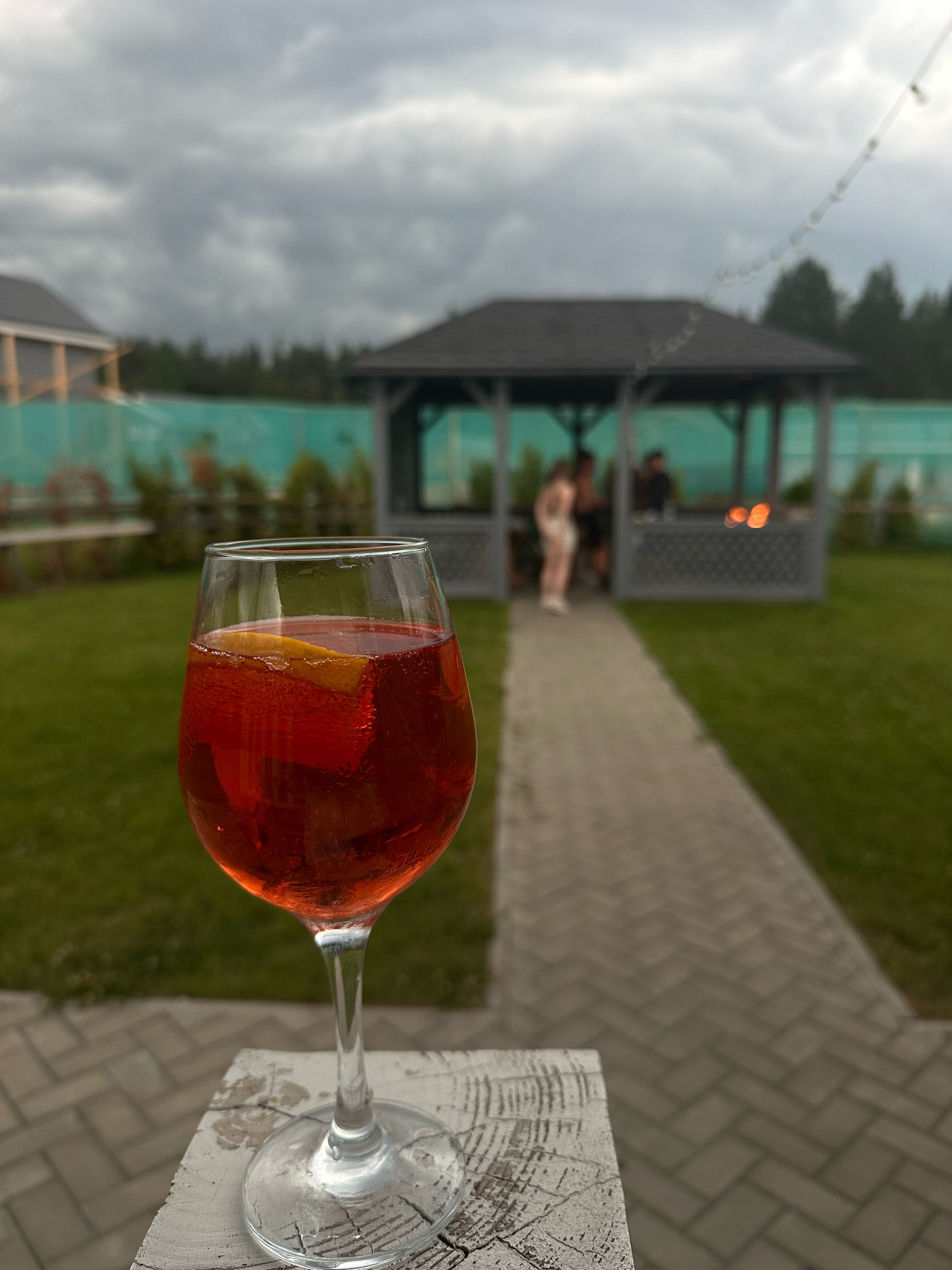 Фото Лесная Сова