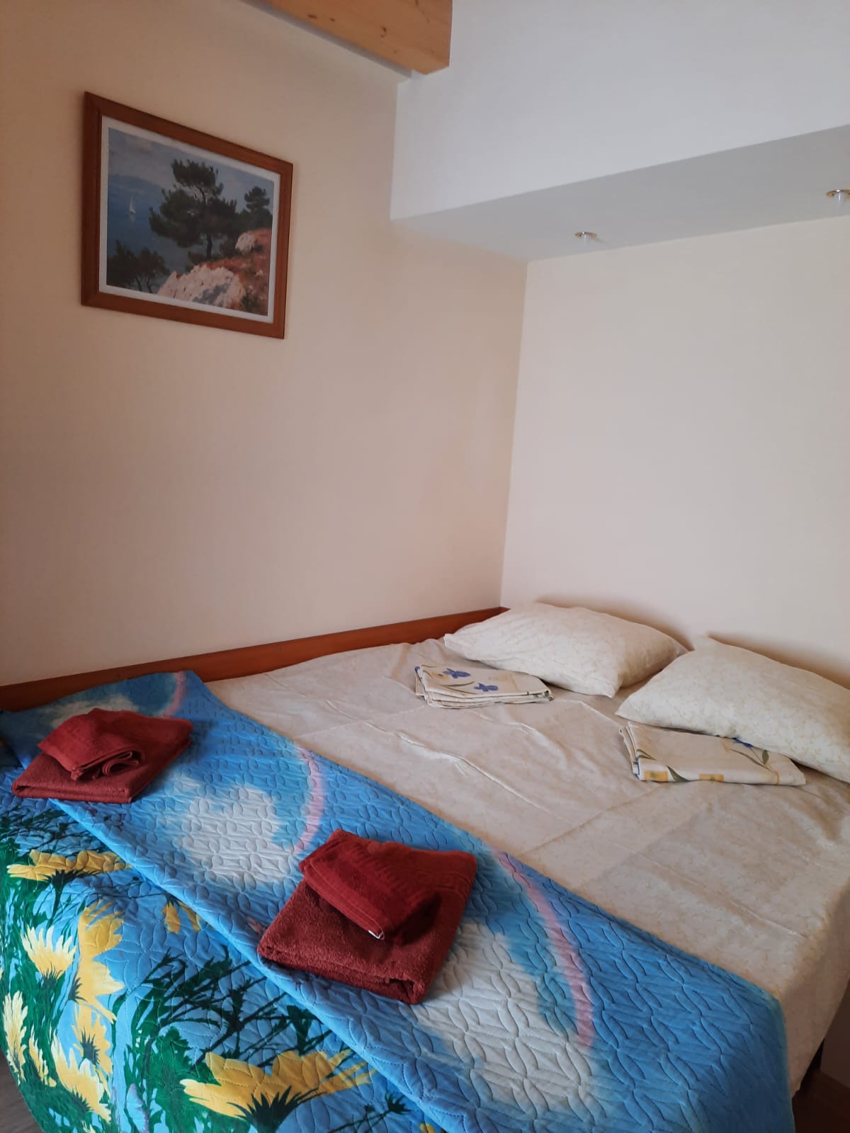 Фото Корвет