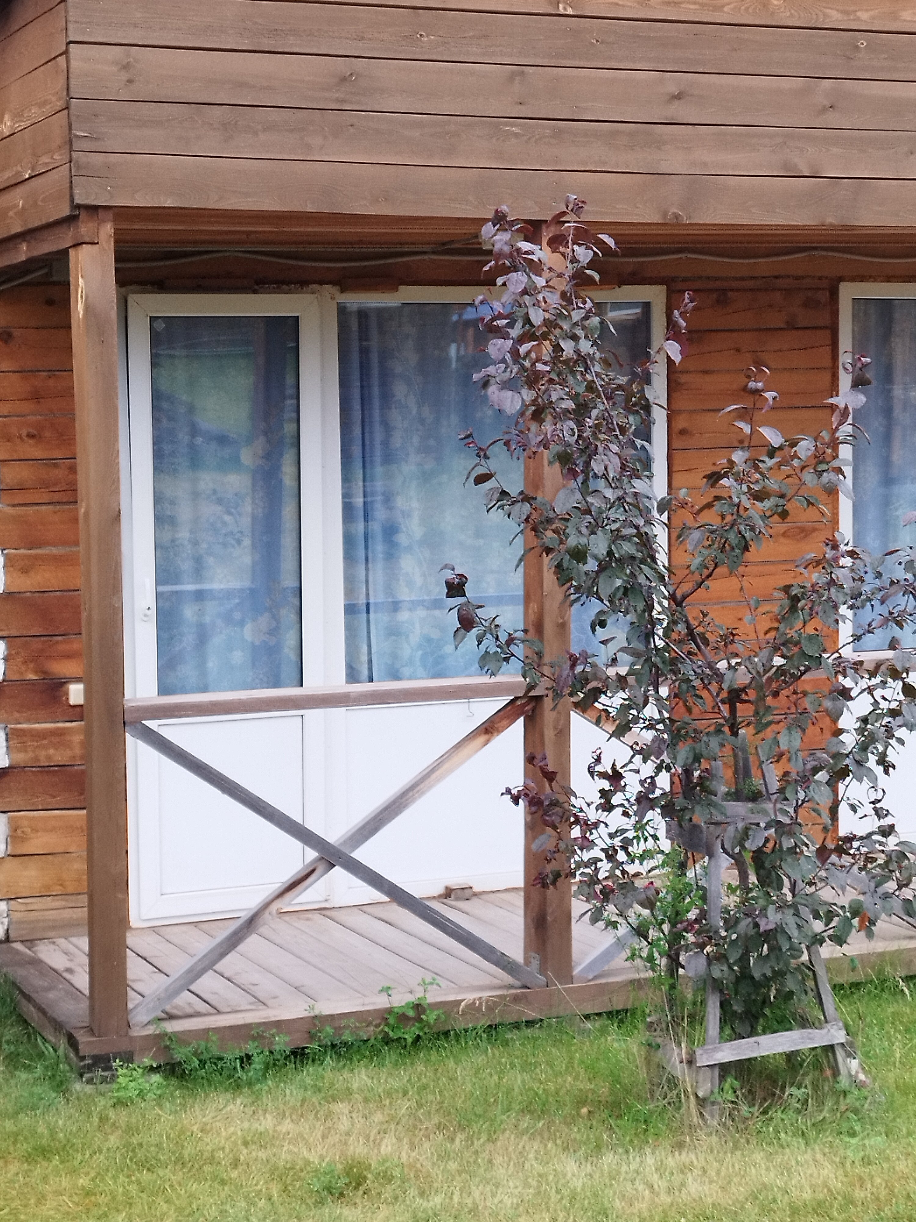 Фото Сункар