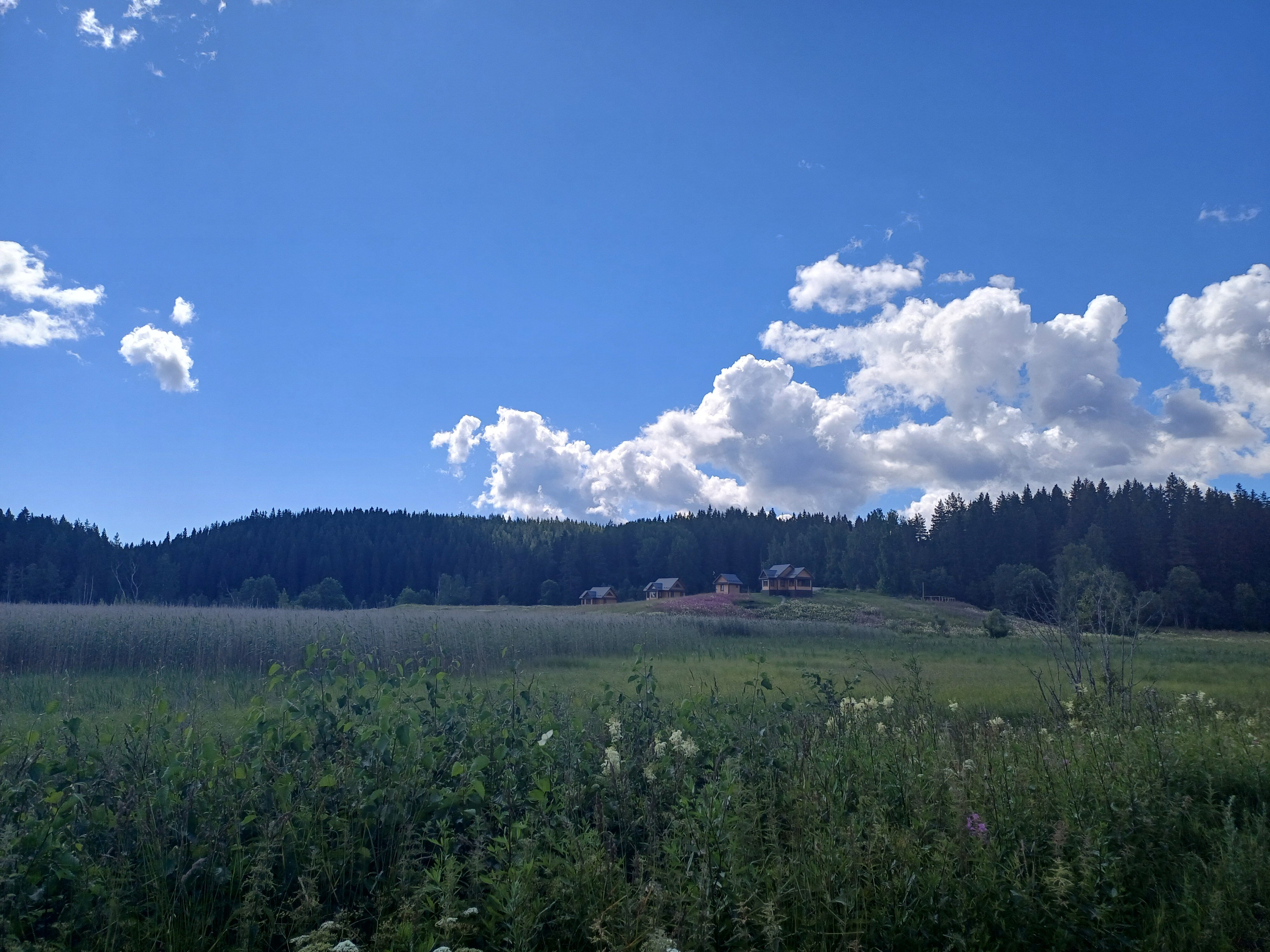 Фото Киркколампи