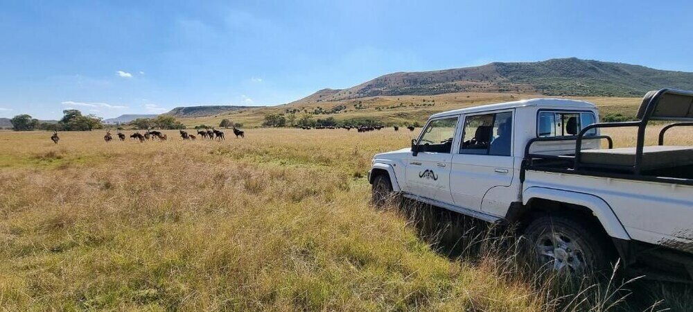 Фото Wetlands Game Lodge