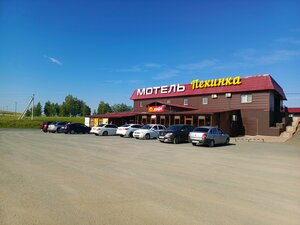 Pekinka (Samara Region, Kamyshlinskiy rayon, M-5 Ural, 1187-y kilometr), hotel