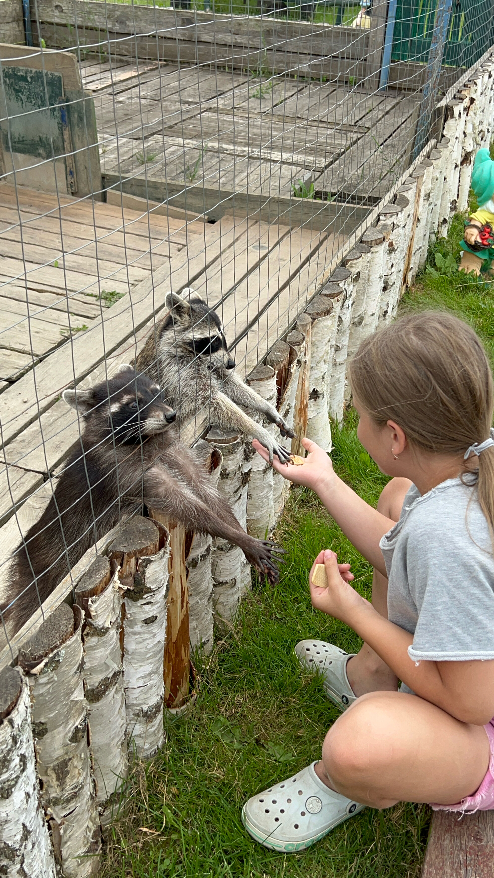 Фото Экоферма Александровский спас