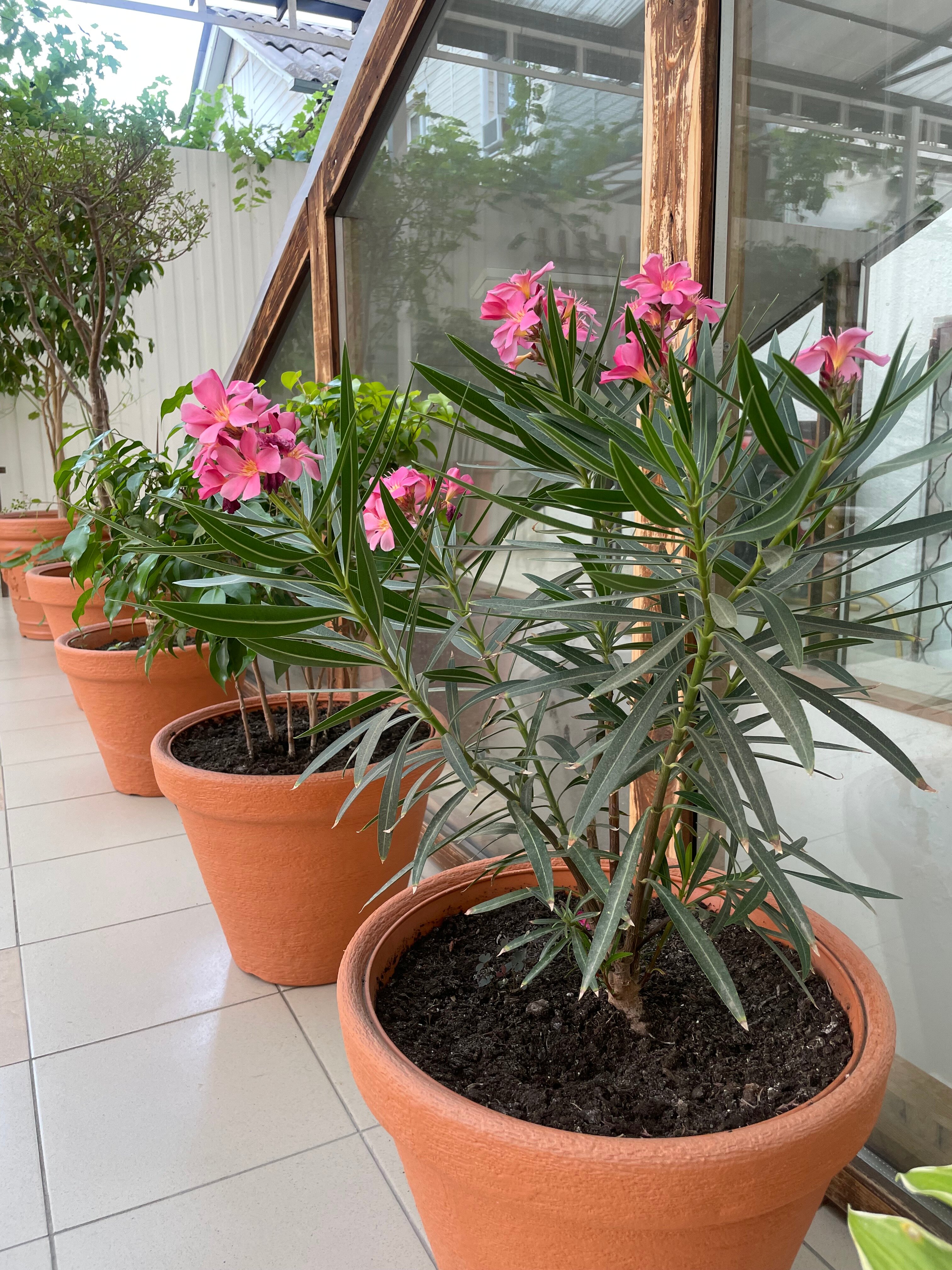 Фото Гармония