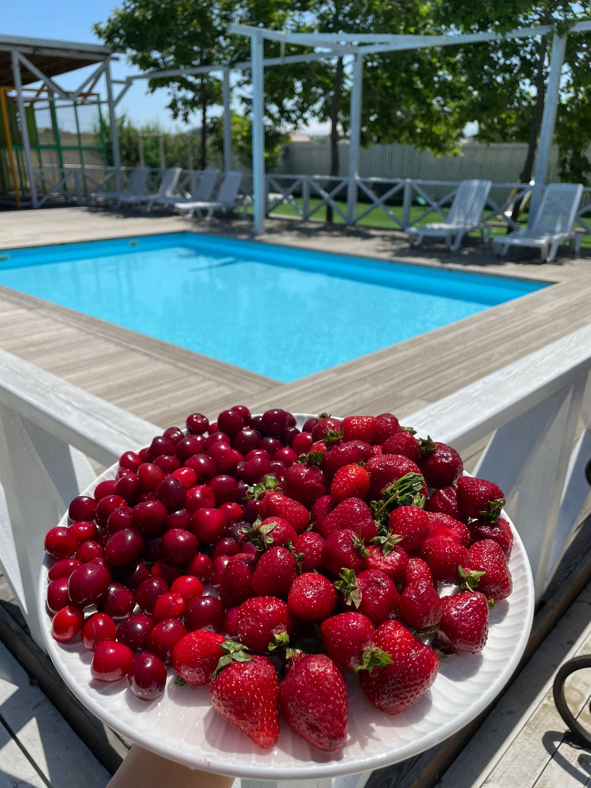 Фото Грин Парк Приморский