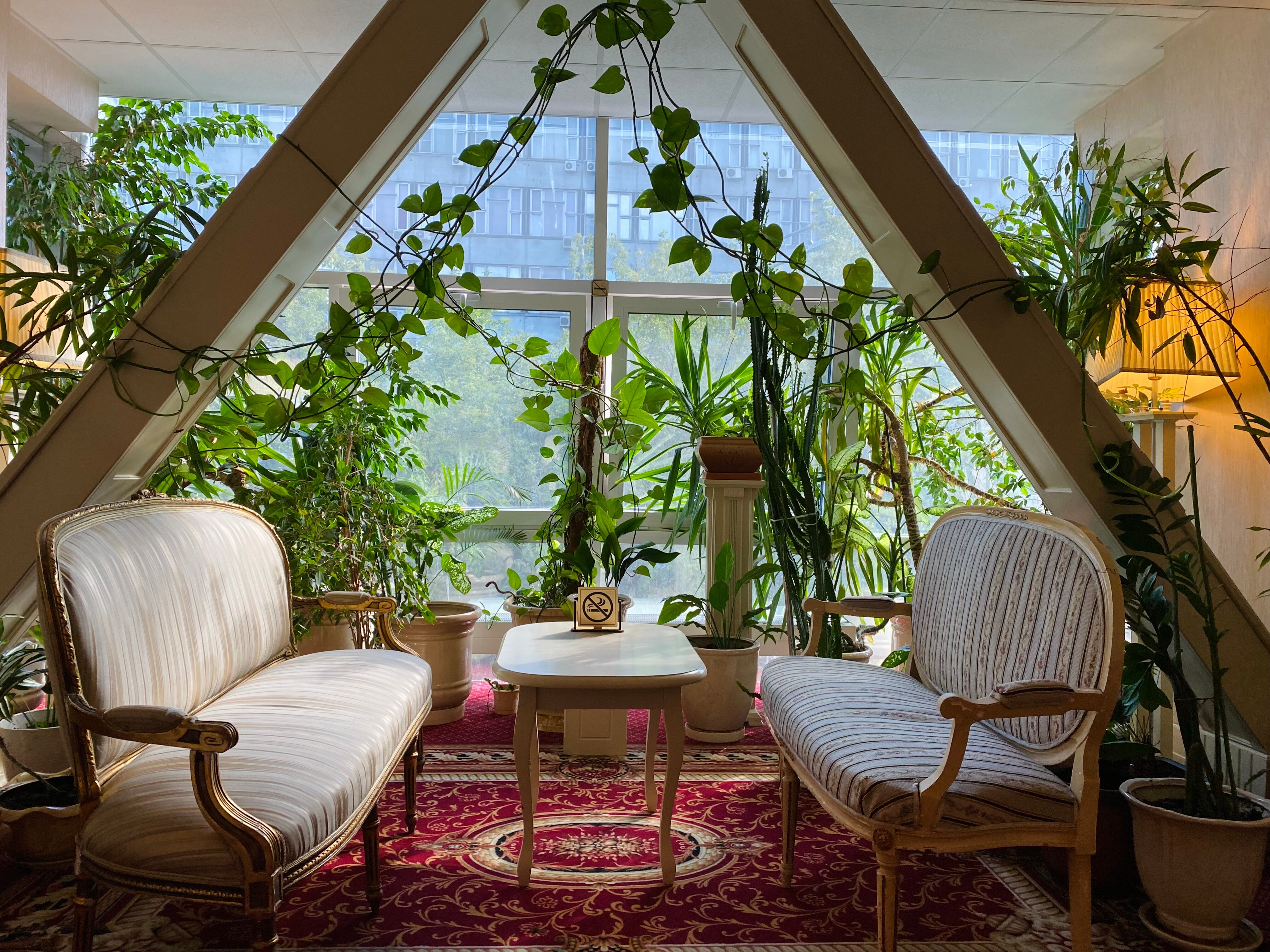 Фото Брайтон