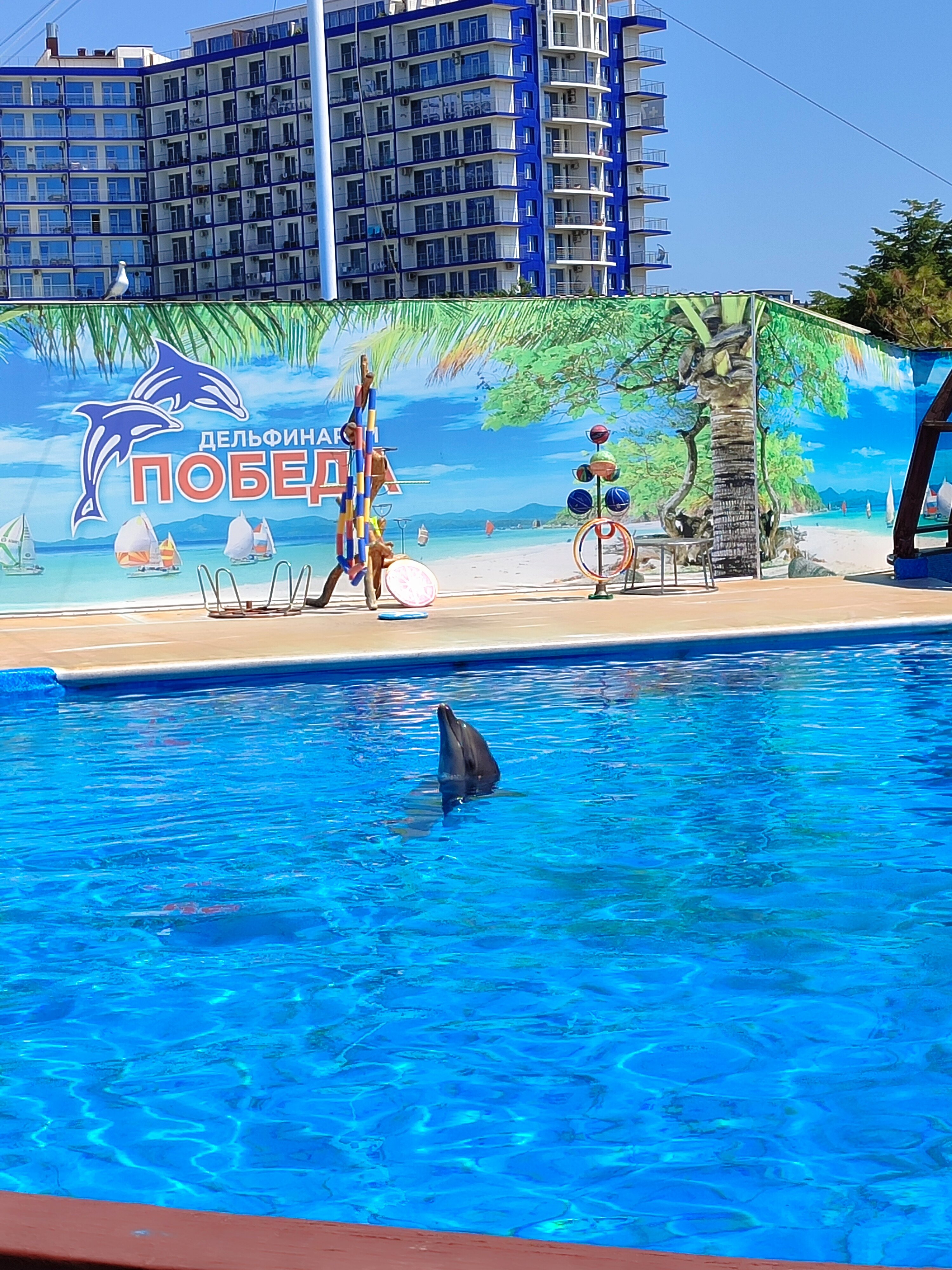 Фото Акваделюкс Resort Apartments