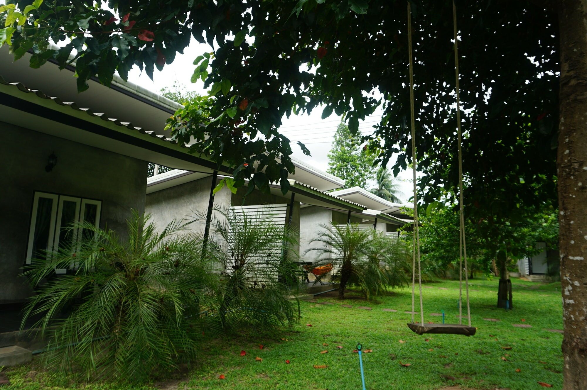 Фото V Valley Resort