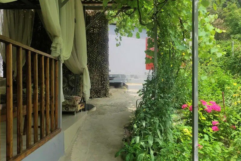 Фото У Кедра