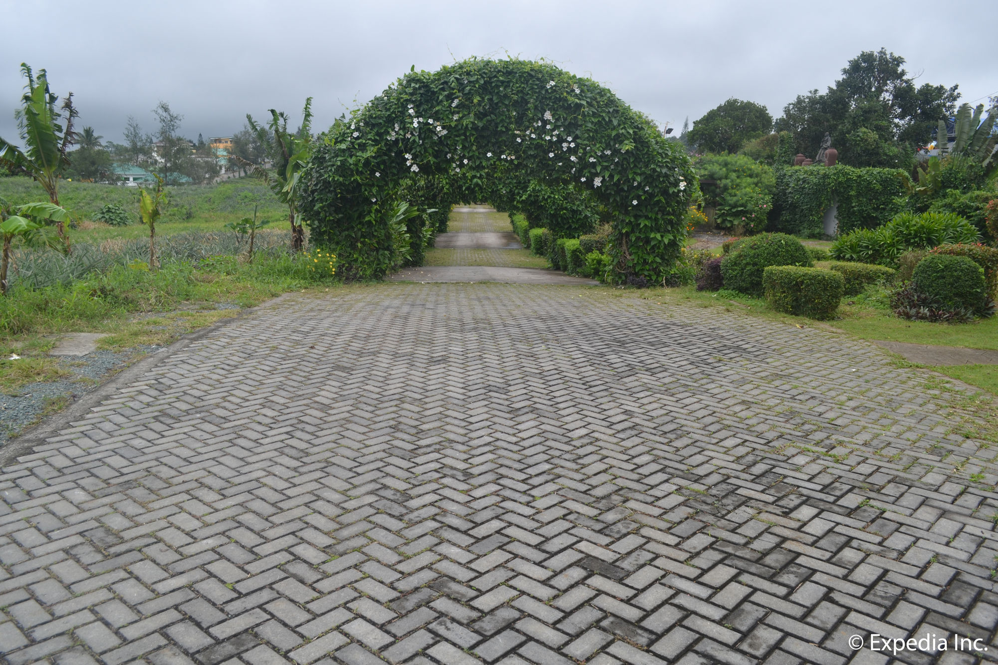 Фото The Q Hotel & Restaurant