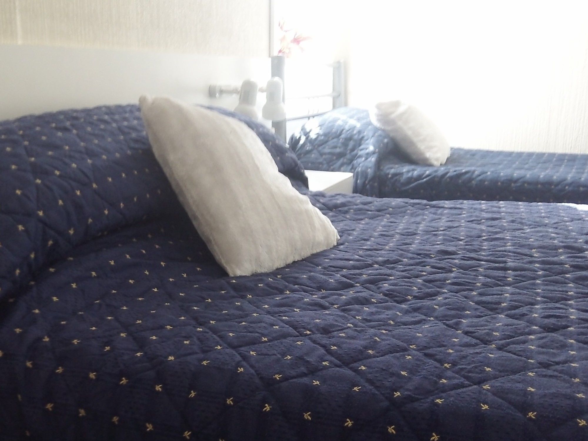 Фото Ivydene Guest House