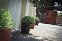 Фото Bm Gardens Apartment Hotel