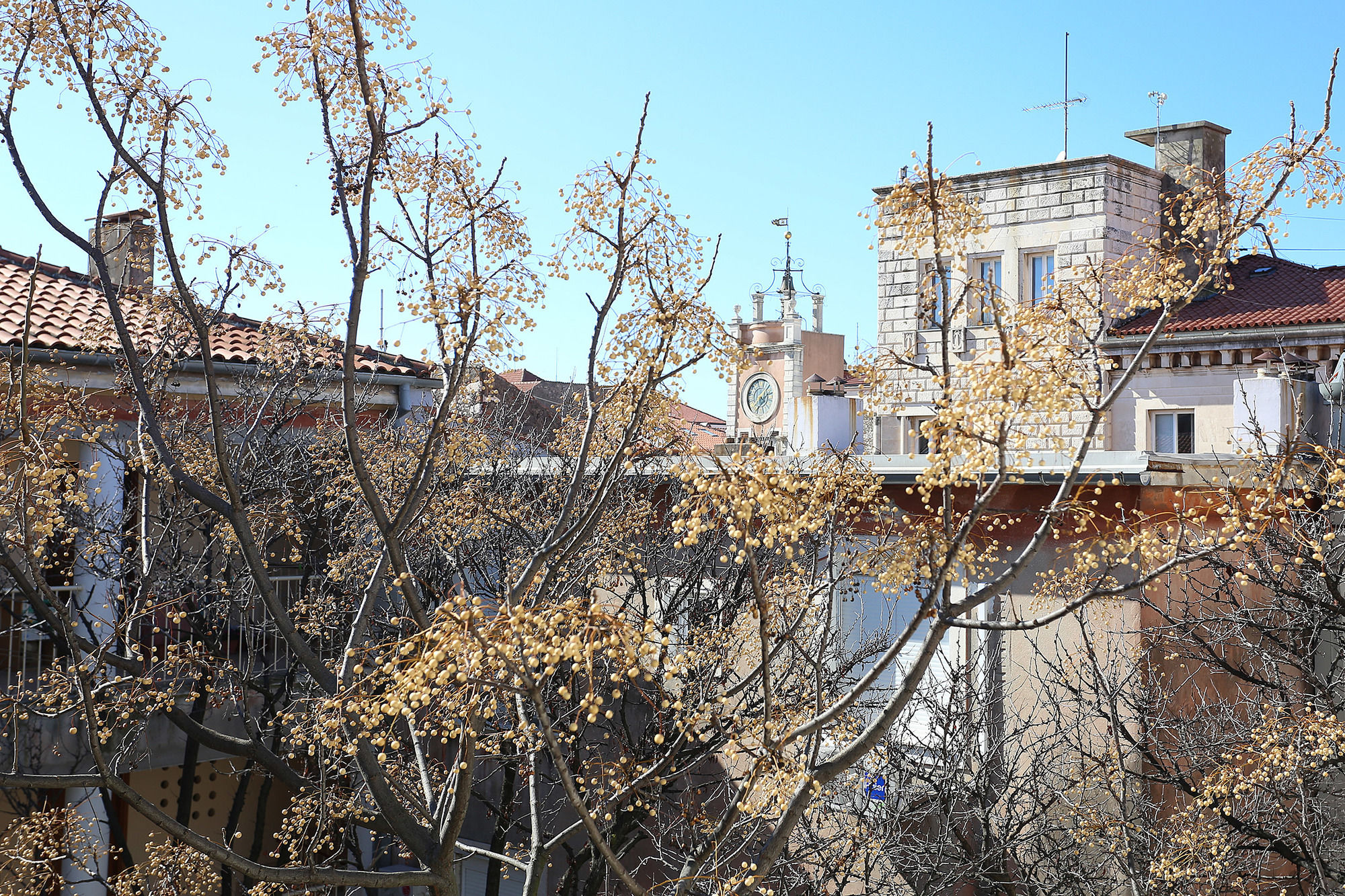 Фото Prestige Rooms